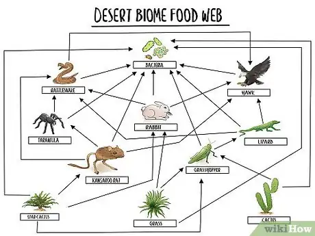 Imagen titulada Food Web Visual Sample
