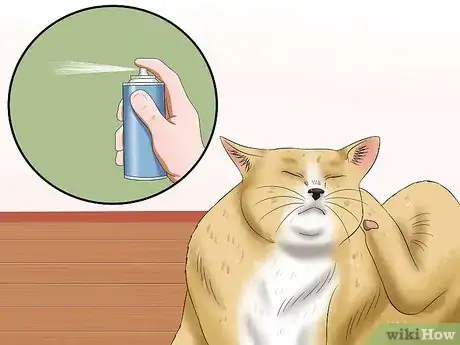 Imagen titulada Stop a Cat from Pulling Its Hair Out Step 2