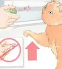 enseñarle a tu gato a que te dé la pata
