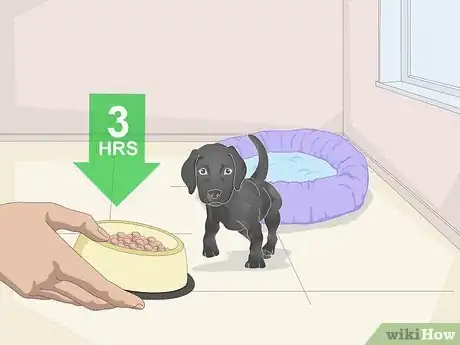 Imagen titulada Get a Puppy to Sleep Step 2
