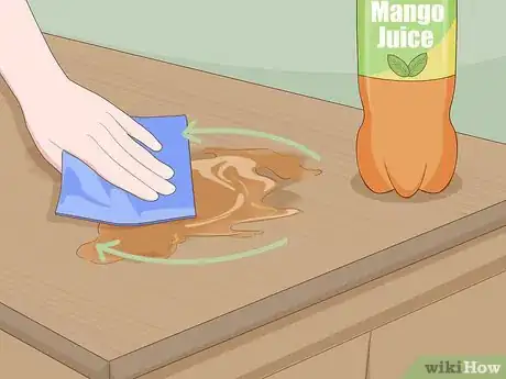 Imagen titulada Get Rid of Flies Step 13