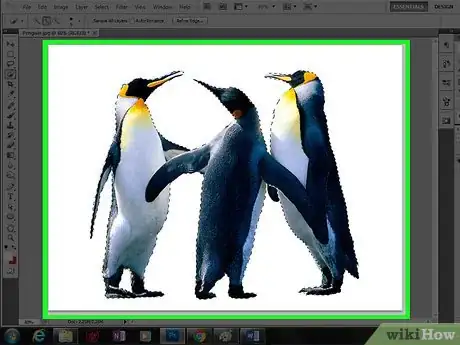 Imagen titulada Change the Background Color in Photoshop Step 31