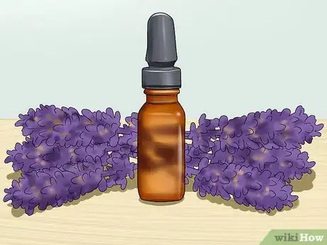 Imagen titulada Calm Your Cat with Aromatherapy Step 1