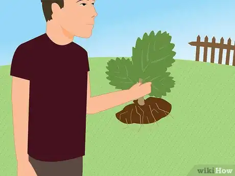 Imagen titulada Eat Worms Step 17