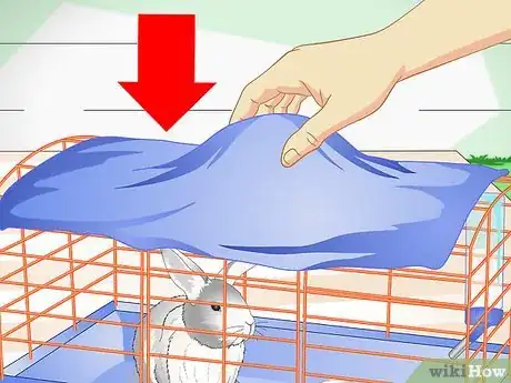 Imagen titulada Keep Pet Rabbits Cool Step 3