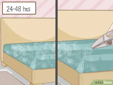 Imagen titulada Apply Diatomaceous Earth Step 14