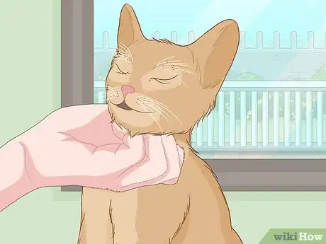 Imagen titulada Pet a Cat Step 1