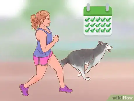 Imagen titulada Care for a Husky Step 6