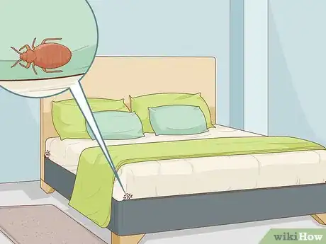 Imagen titulada Apply Diatomaceous Earth Step 11