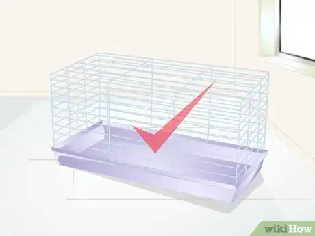 Imagen titulada Care for a Hairless Rat Step 6