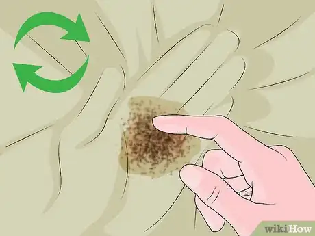 Imagen titulada Use Mothballs Step 6
