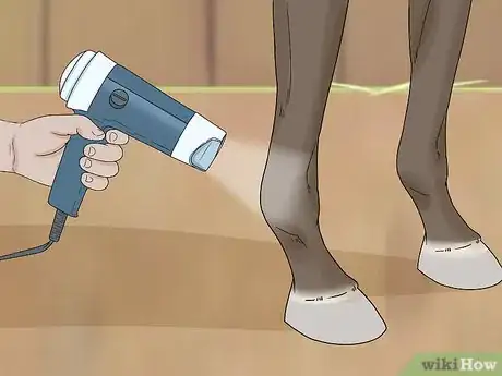 Imagen titulada Treat Edema in Horses Step 9