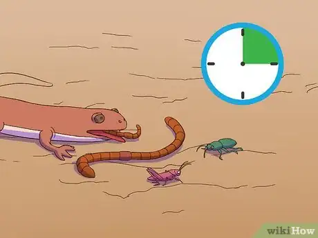 Imagen titulada Feed a Salamander Step 8