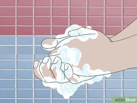 Imagen titulada Treat Edema in Horses Step 1