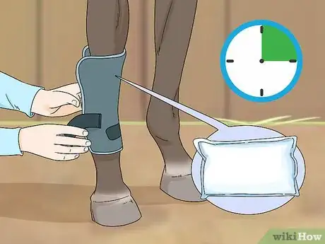 Imagen titulada Treat Edema in Horses Step 6