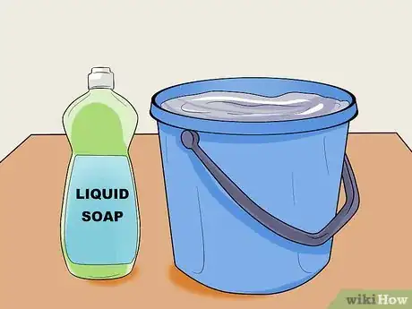 Imagen titulada Clean a Gerbil Cage Step 3