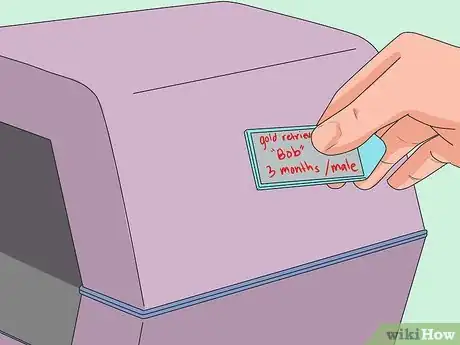 Imagen titulada Bring a Dog Into the United States Step 8