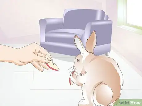 Imagen titulada Teach a Rabbit Not to Chew Furniture Step 4