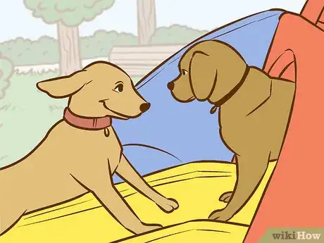 Imagen titulada Persuade Your Parents to Get a Dog Step 19