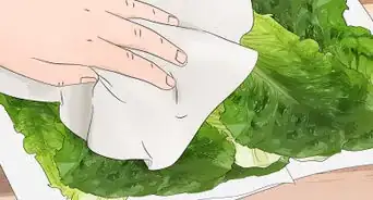 saber si la lechuga se ha echado a perder