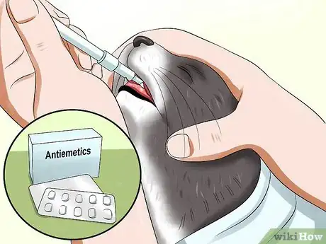 Imagen titulada Treat Feline Panleukopenia (Distemper) Step 9