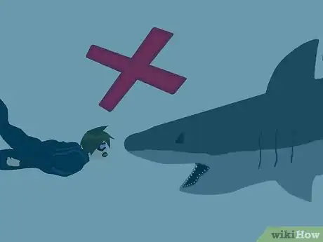 Imagen titulada Prevent a Shark Attack Step 11