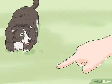 Imagen titulada Train a Dog to Come Step 4