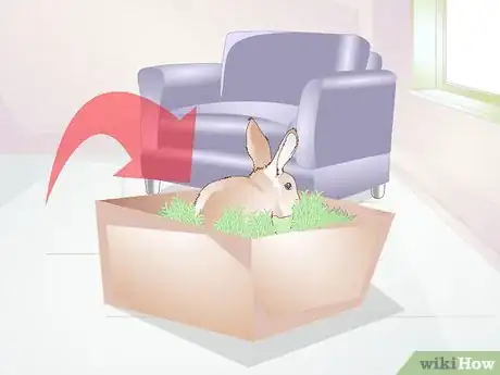 Imagen titulada Teach a Rabbit Not to Chew Furniture Step 8