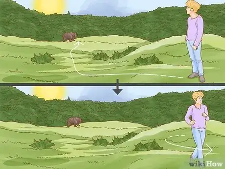 Imagen titulada Keep Bears Away Step 21