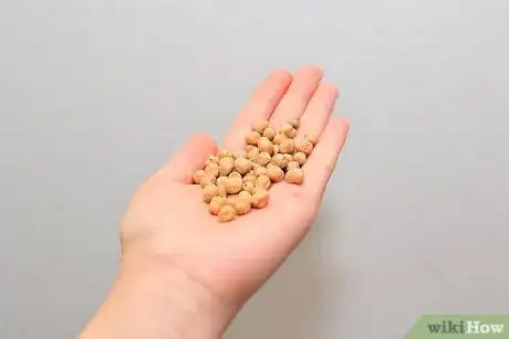 Imagen titulada Cook Dried Chickpeas Step 3
