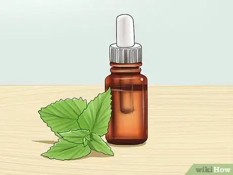 Imagen titulada Calm Your Cat with Aromatherapy Step 3