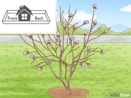Imagen titulada Choose Plants for Good Feng Shui Step 2