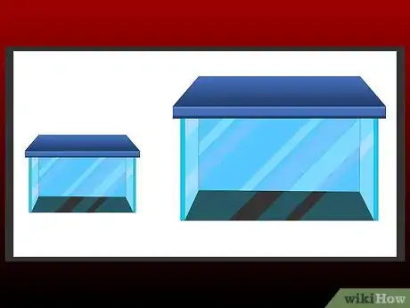 Imagen titulada Pick a Pet Tarantula Step 3