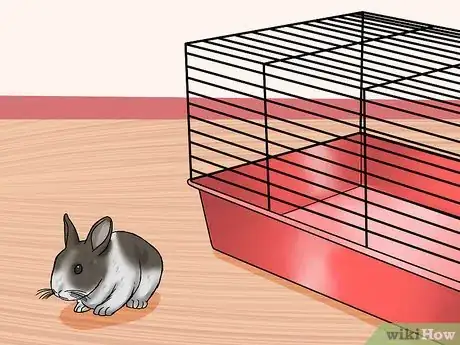 Imagen titulada Care for Dutch Rabbits Step 17