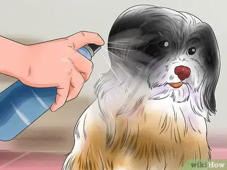 Imagen titulada Brush Mats out of Dog Hair Step 2