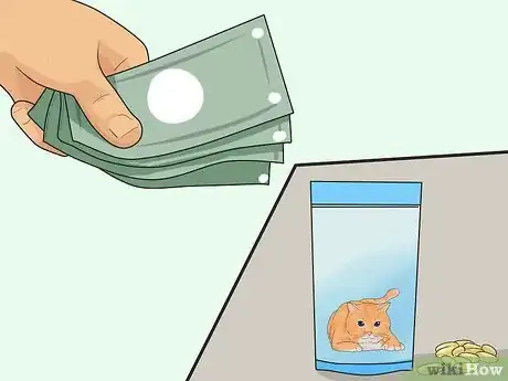 Imagen titulada Keep Cats from Shedding Step 8