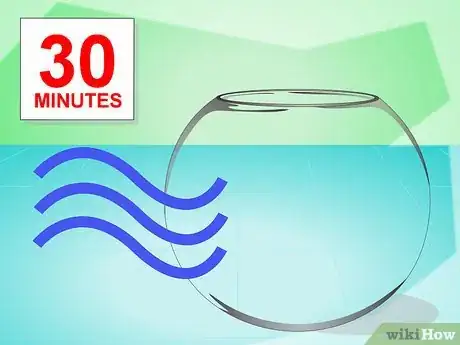 Imagen titulada Change the Water in a Fish Bowl Step 9