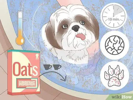 Imagen titulada Stop a Dog from Licking Its Paws with Home Remedies Step 4