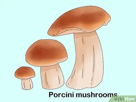Imagen titulada Identify Edible Mushrooms Step 7