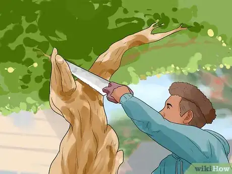 Imagen titulada Stop a Dog from Killing Squirrels Step 9