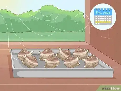 Imagen titulada Winterize Calla Lily Bulbs Step 5