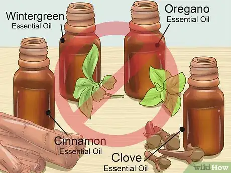 Imagen titulada Calm Your Cat with Aromatherapy Step 7