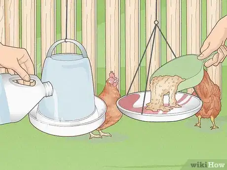 Imagen titulada Prevent Diseases in Chickens Step 3