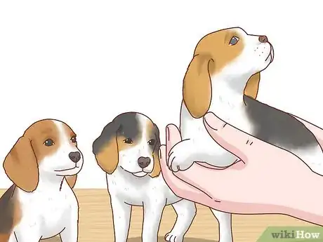 Imagen titulada Adopt a Puppy Step 9