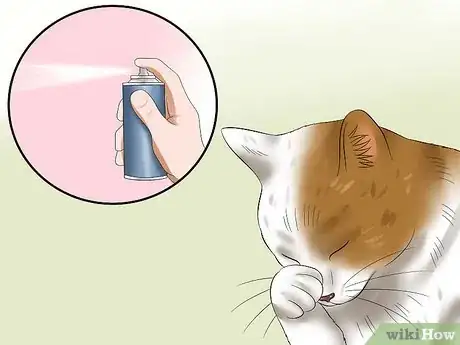 Imagen titulada Treat Conjunctivitis in Cats Step 1