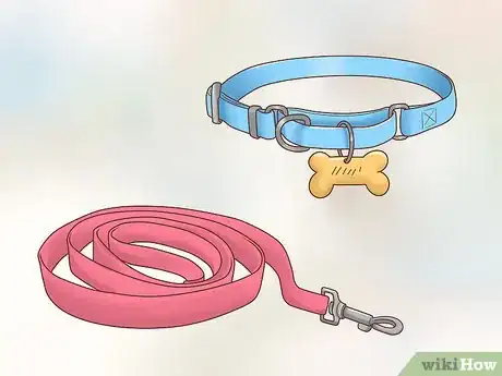 Imagen titulada Care for a Border Collie Step 1