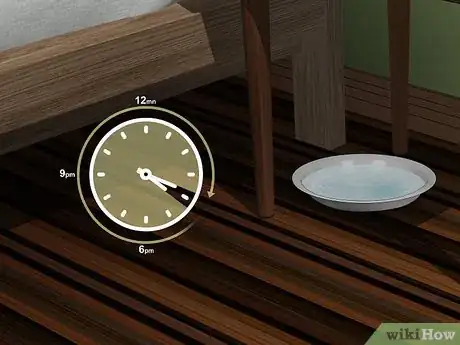 Imagen titulada Make a Flea Trap Step 4