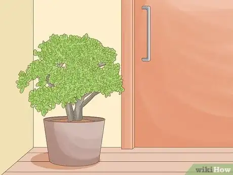Imagen titulada Choose Plants for Good Feng Shui Step 11