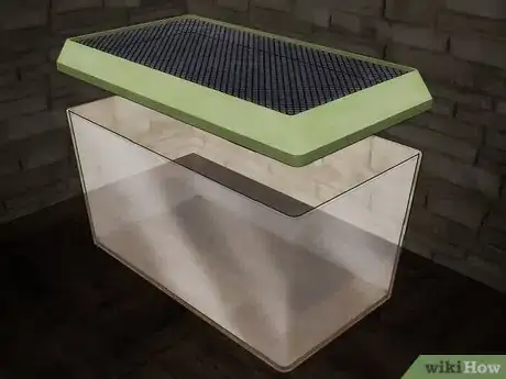 Imagen titulada Care for Live Crickets for Reptiles Step 1