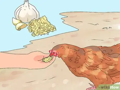 Imagen titulada Worm Chickens Step 6